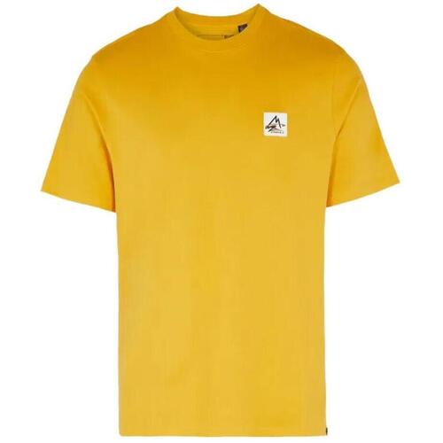 T-shirt O'neill Hollyridge