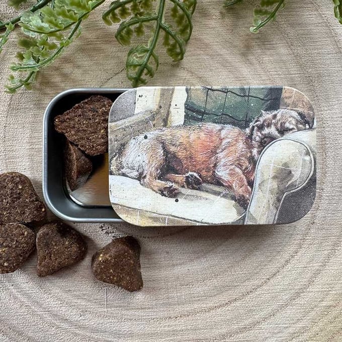 Alex Clark Sliding little Tin Walter ~ Langwerpig klein opbergblikje Hond