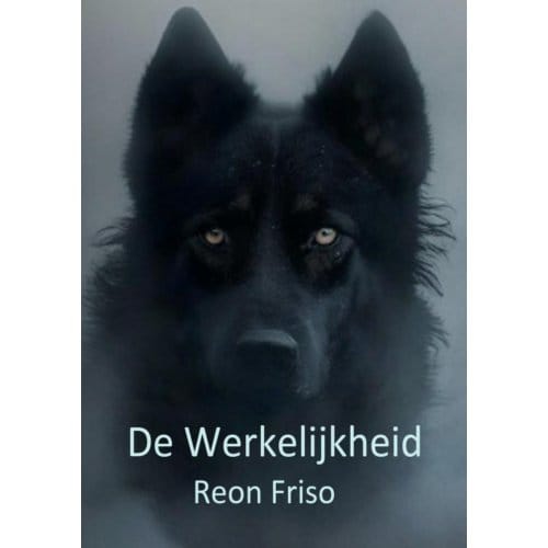 De Werkelijkheid - Reon Friso