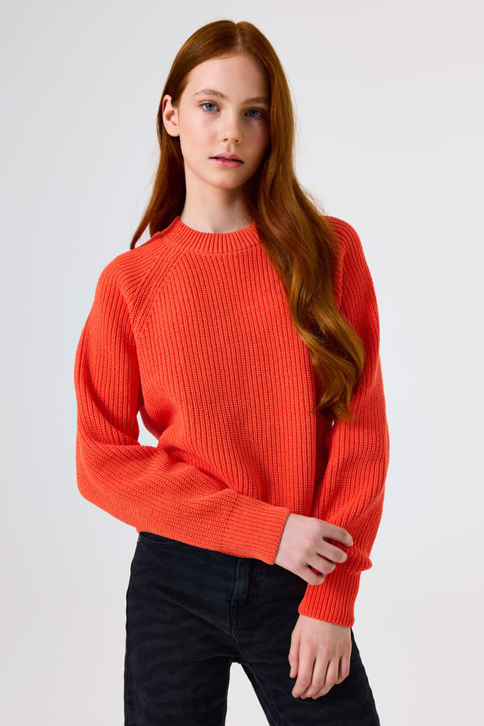 Gebreide pullover met ronde hals en labeldetail