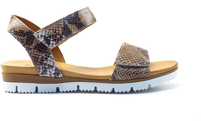 Aqa Shoes Bruin print open A8900 SNACOG Bruin
