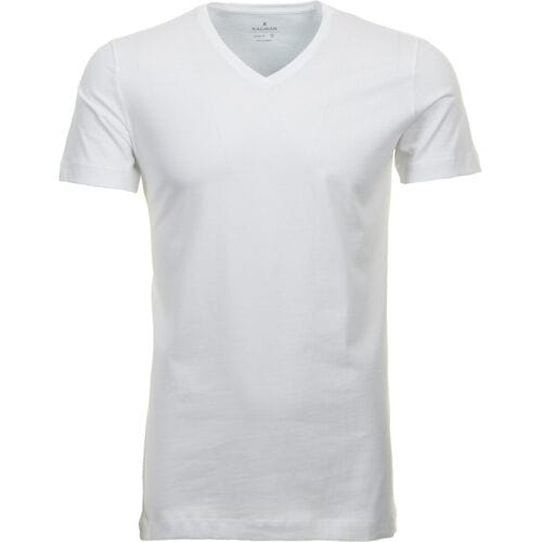 Ragman T-Shirt Uni V-Neck Bodyfit Single Jersey 2Pack Wit / male