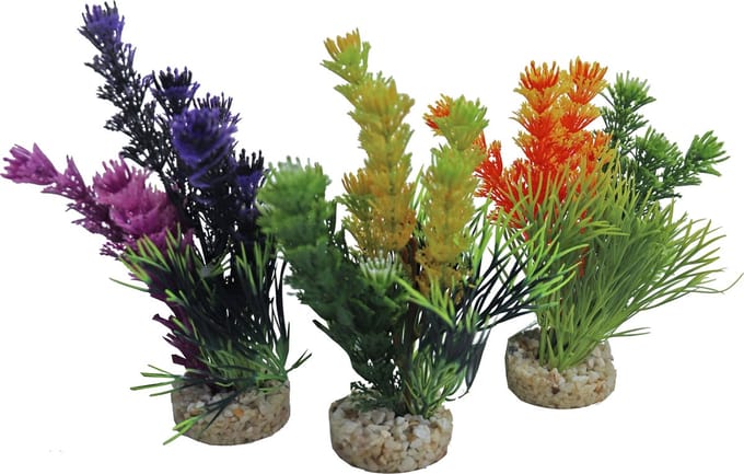 Sydeco magische fiesta kleuren 16CM per 1 stuk