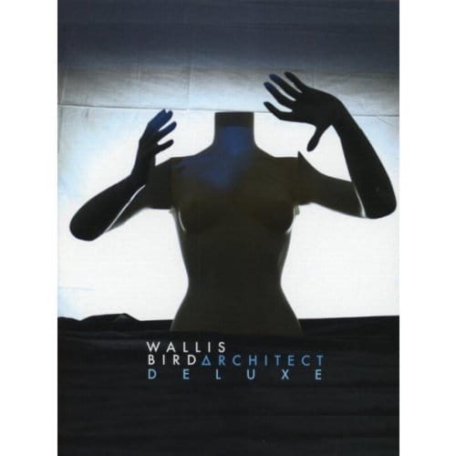 Architect - Wallis Bird