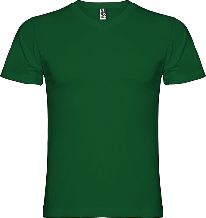 Flesgroen T-shirt 'Samoyedo' met V-hals merk Roly maat L