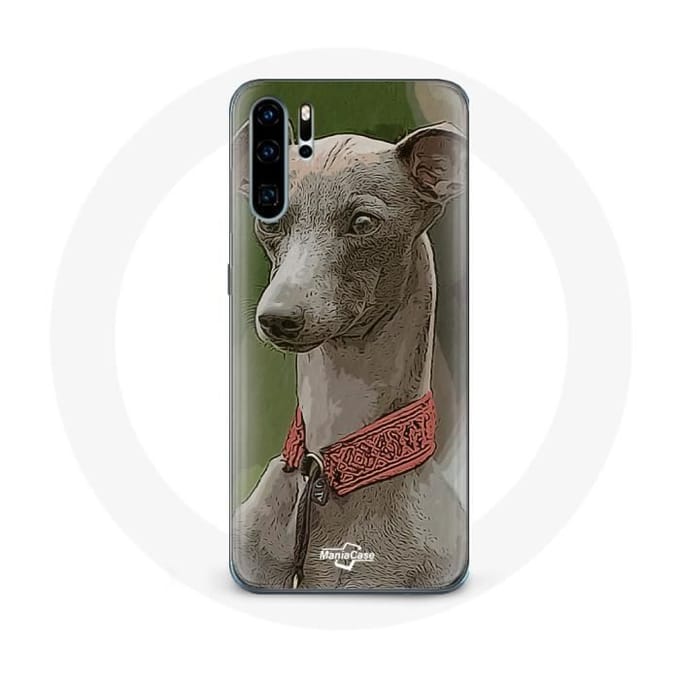 Hoesje voor Huawei P30 Greyhound Greyhound grijs