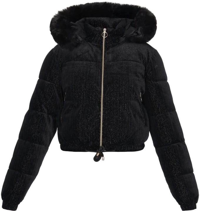 taddy jacket