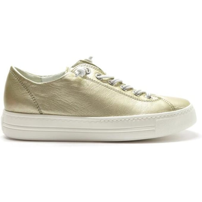 Paul Green 4081
