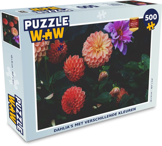 Puzzel Dahlia's met verschillende kleuren - Legpuzzel - Puzzel 500 stukjes