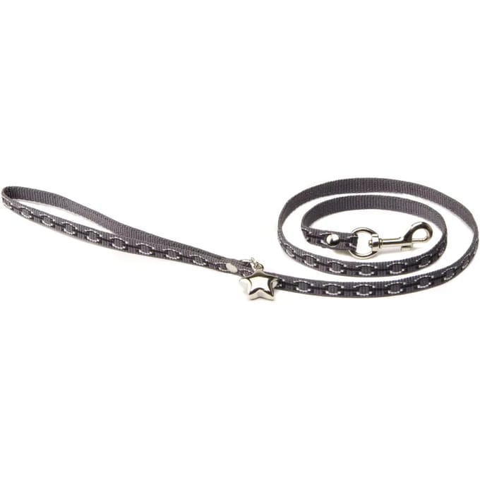 Hondenriem Alter Ego Bijoux lurex