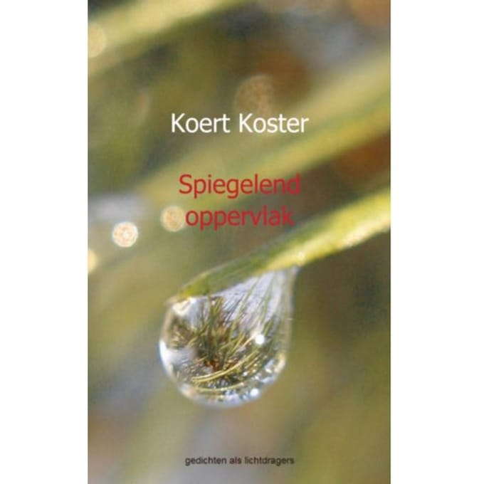 Spiegelend Oppervlak - Koert Koster