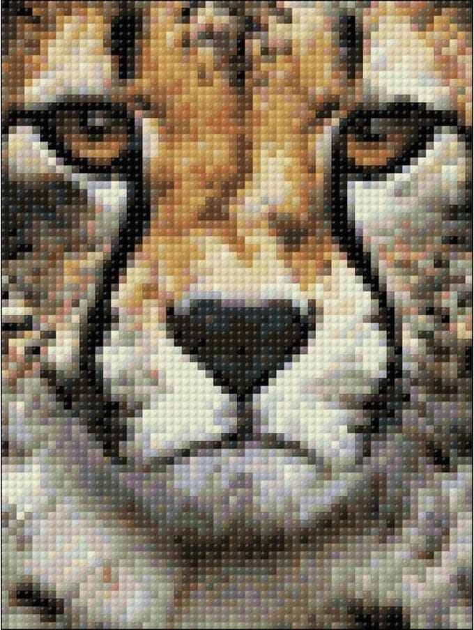 Wizardi Diamond Painting Kit Hunter's Look WD285