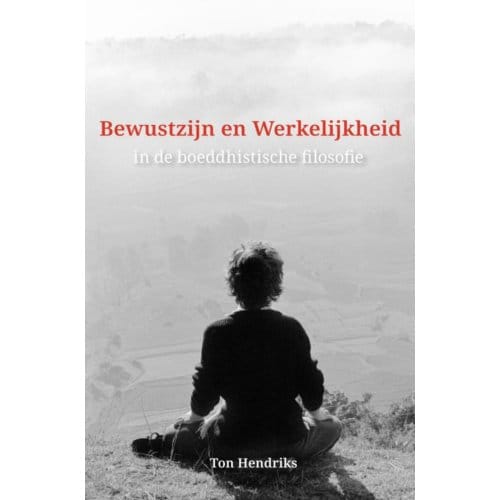 Bewustzijn En Werkelijkheid - Ton Hendriks