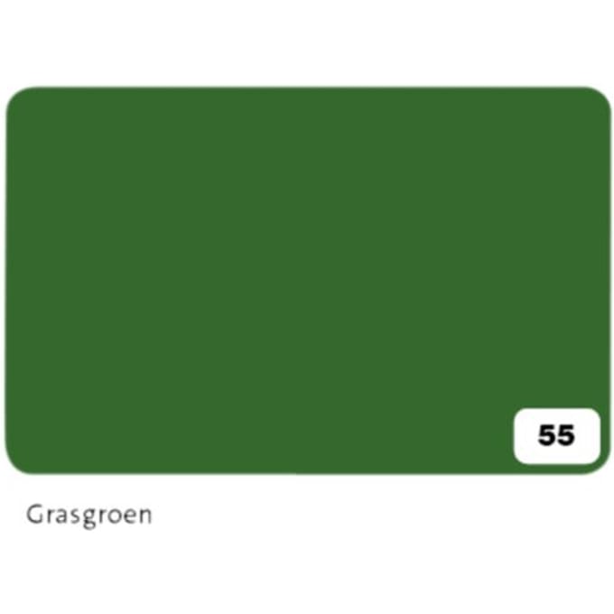 Fotokarton Folia 2-zijdig 50x70cm 300gr nr55 grasgroen