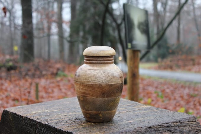 Mangohouten urn de Slufter-3
