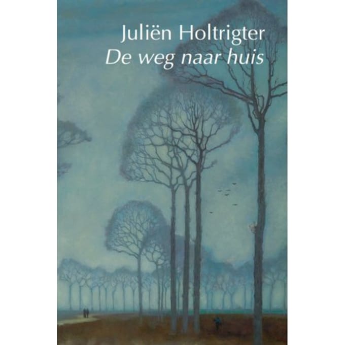 De Weg Naar Huis - Juliën Holtrigter