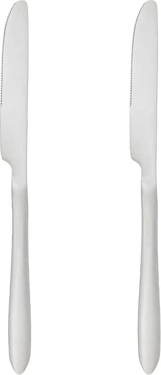 Secret de Gourmet bestek Messen Nevis - 2x stuks - RVS - 23 cm - vaatwasser bestendig