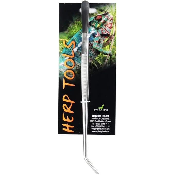 Schuine voedingstang Reptiles Planet