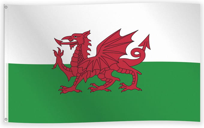 Vlag Wales 90 x 150 cm