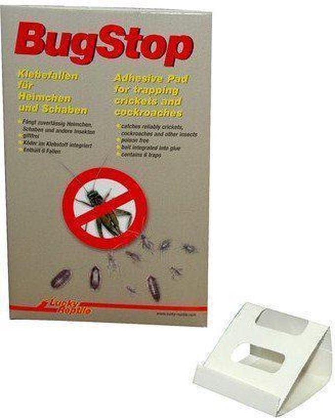 Lucky Reptile Bug Stop - Cricket Trap