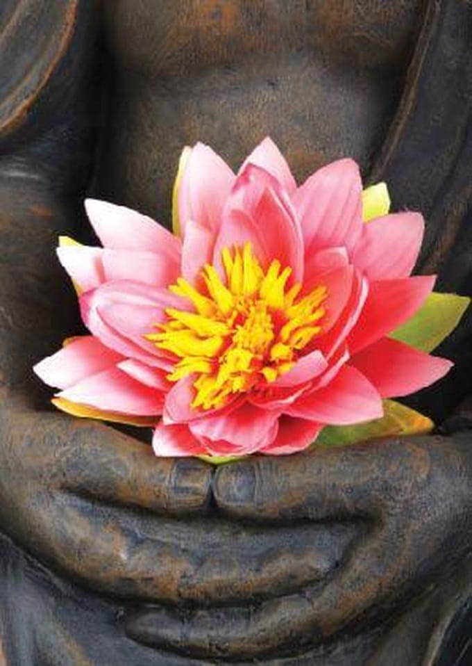 Ansichtkaarten Lotus - 15x10.5 - Papier ( 5 stuks )