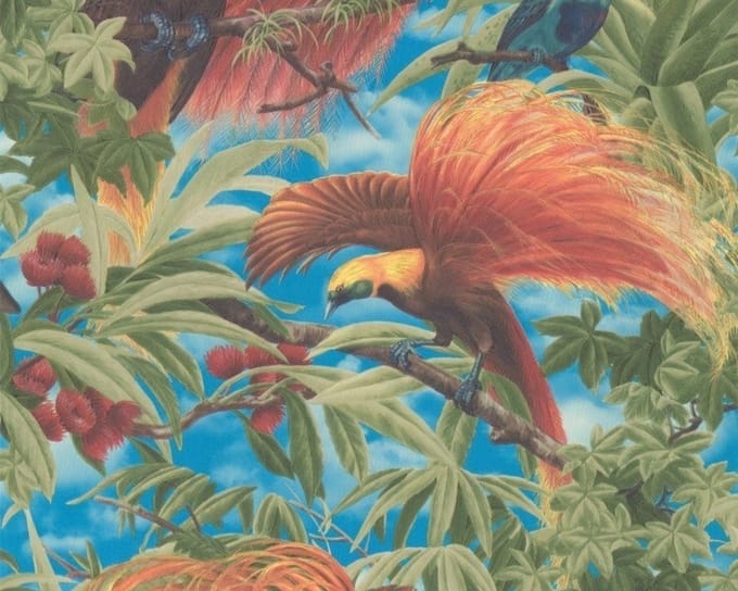 Paradijsvogel behang jungle 6954-13