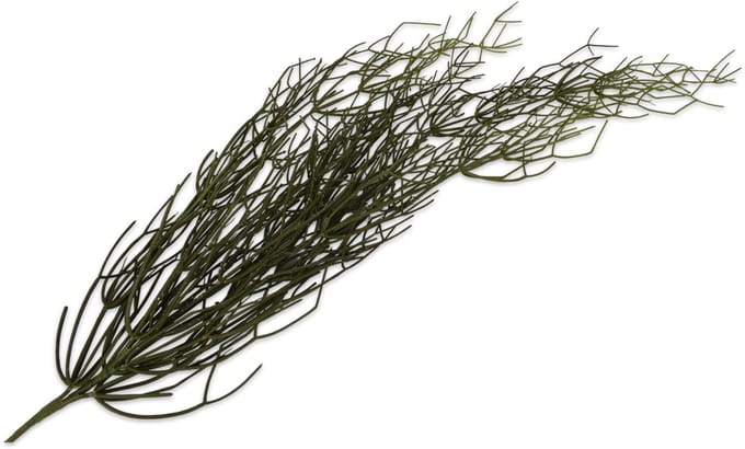 Silk-ka - Kunstplant - succulent - groen - H116 cm