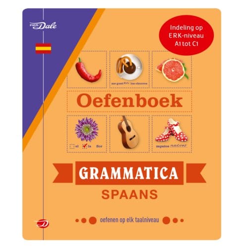 Van Dale Oefenboek Grammatica Spaans - Christina Irún Chavarría