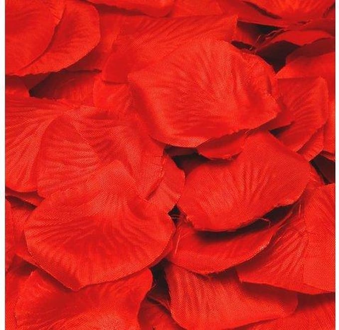 Rozenblaadjes Rood, Feestjecreatief