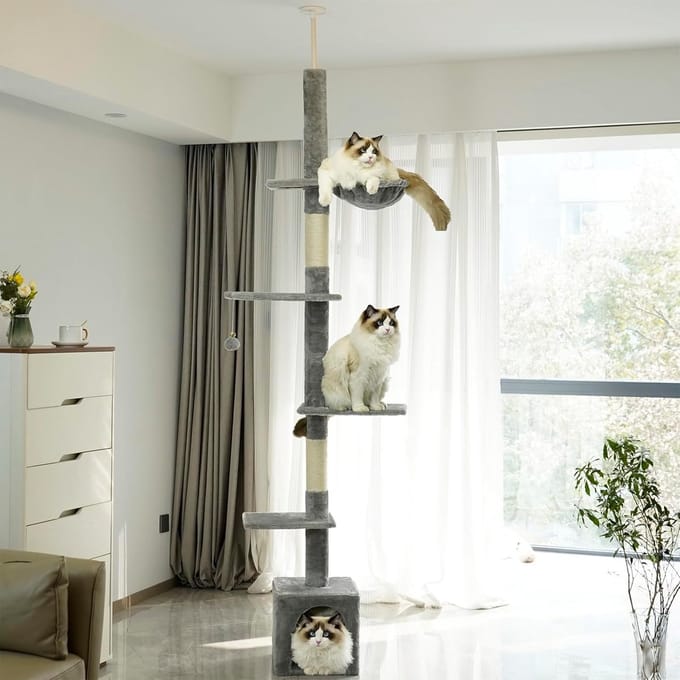 Famanu - Hangmatkrabpaal voor kittens, zachte en stabiele constructie