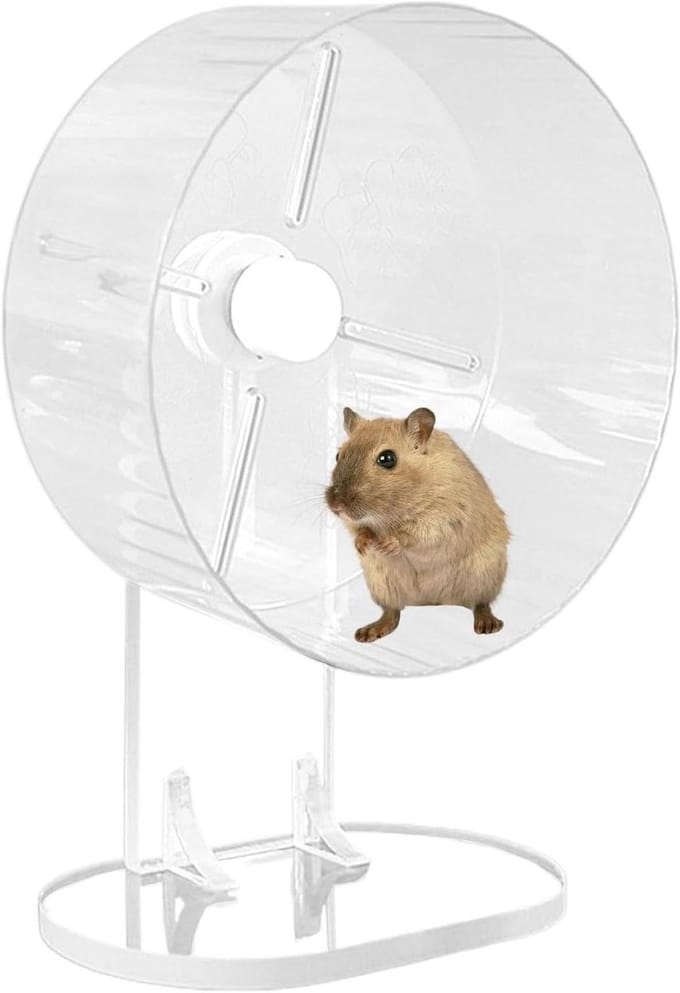 Hamsterwiel - Loopfiets dier - Dieren beweging - Geruisloos ontwerp - 21 cm diameter - Wit