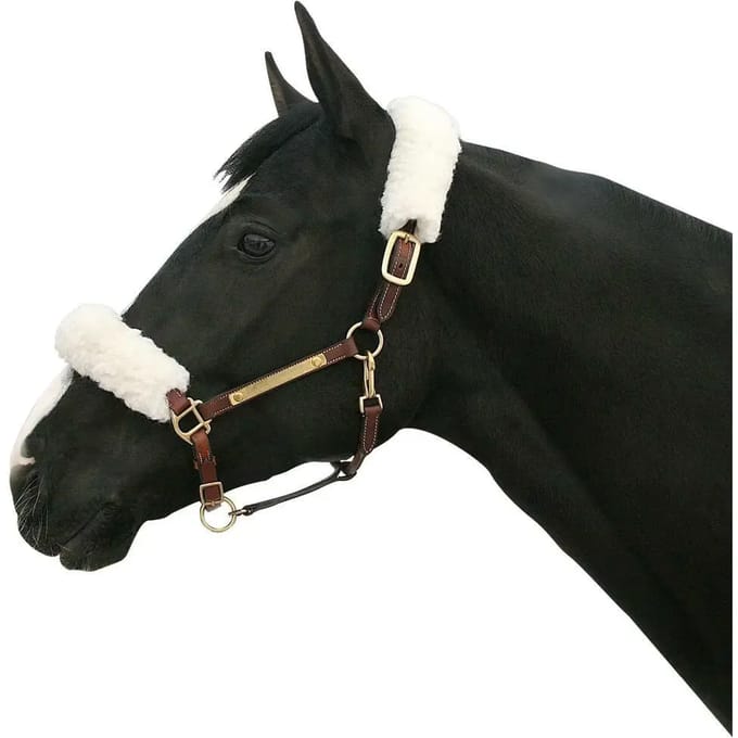 Halter pad Back on Track