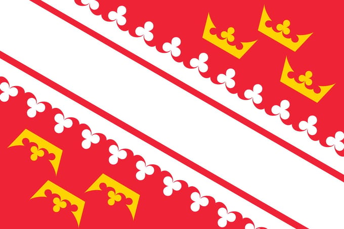 Vlag Elzas 100x150cm