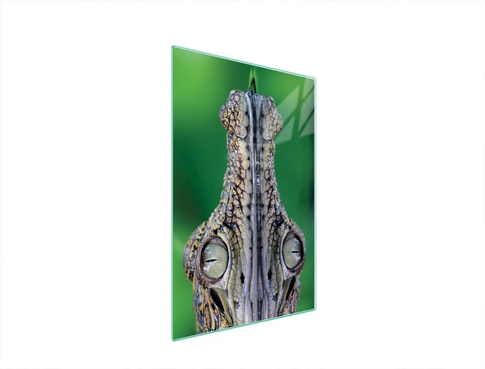 TMK ArtDeko - Snijplank - Krokodil - 35x52 cm - Glas