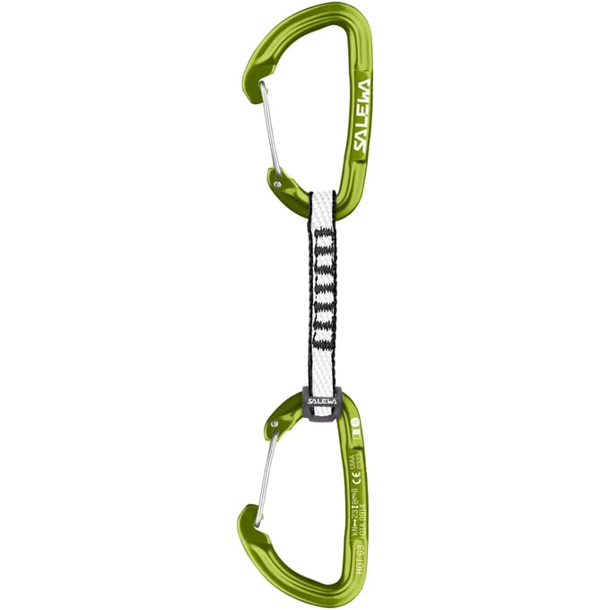 Bergbeklimmen quickdraw Salewa Explorer Dyn Hot G3 Str/Wire