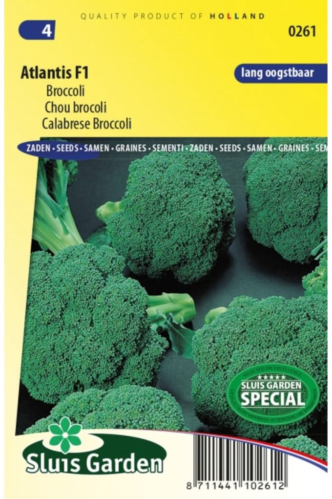 Sluis Garden Broccoli Atlantis F1