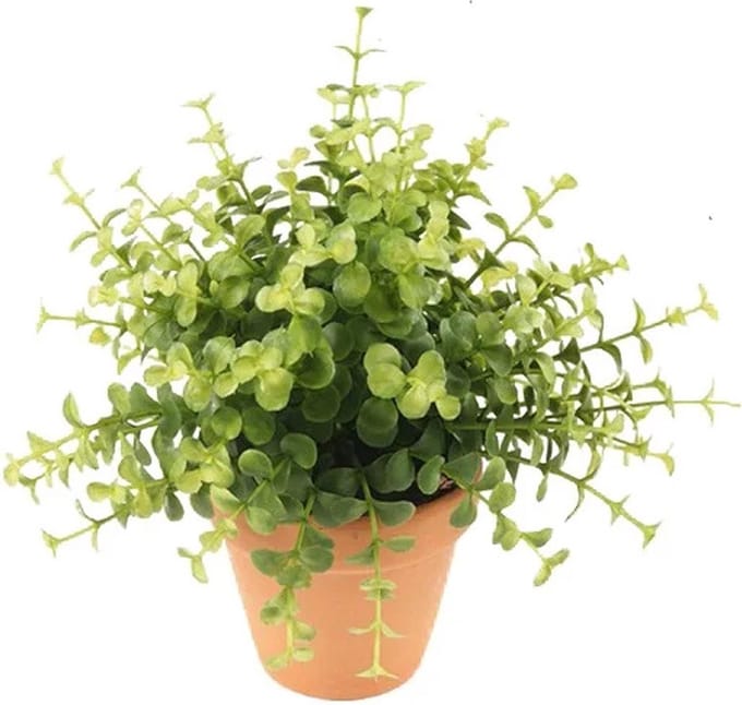 Emerald Kunstplant eucalyptus - groen - in terracotta pot - 20 cm