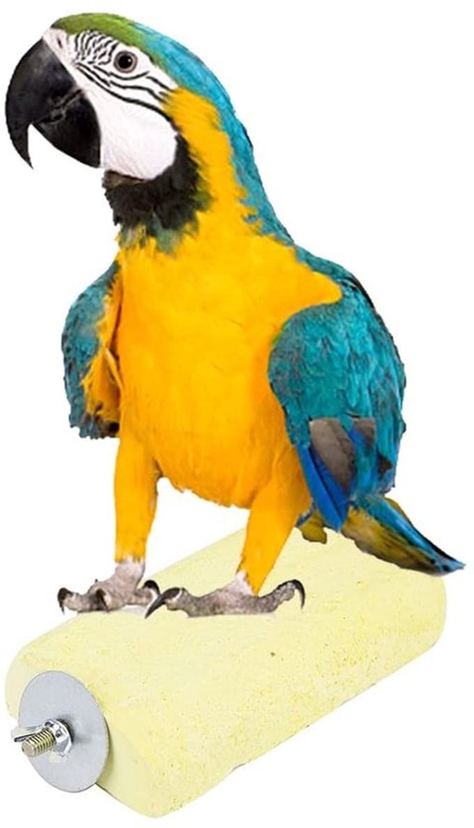 Allecto - Papegaai Baars Snavel Slijpsteen - Multifunctioneel Vogel