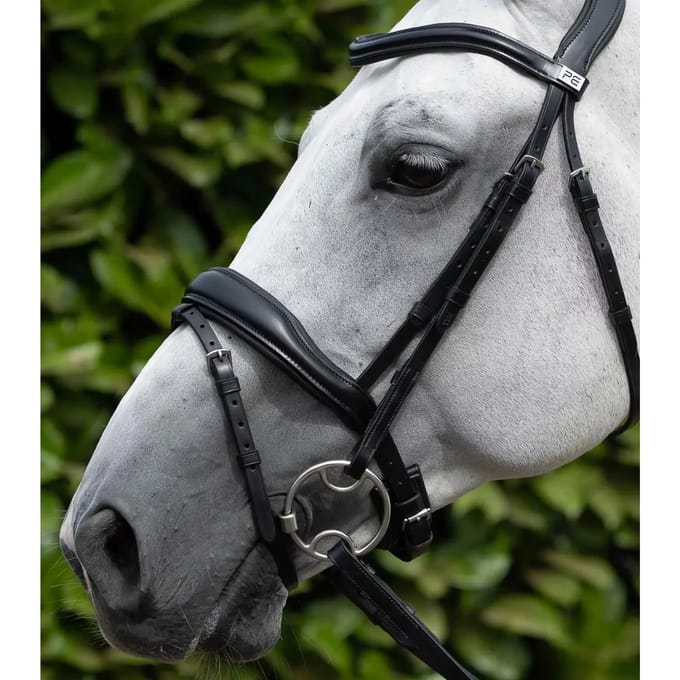 Paar flenspalen Premier Equine
