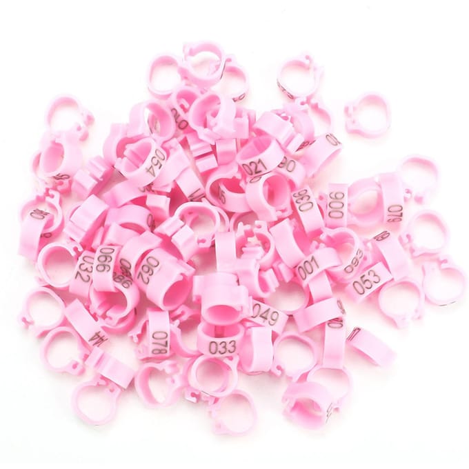 100 STUKS/Zak 8MM 001-100 Genummerde Plastic Letter Duif Vogel Pootringen(wit) Pink pink