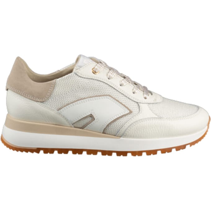 DL Sport 6225