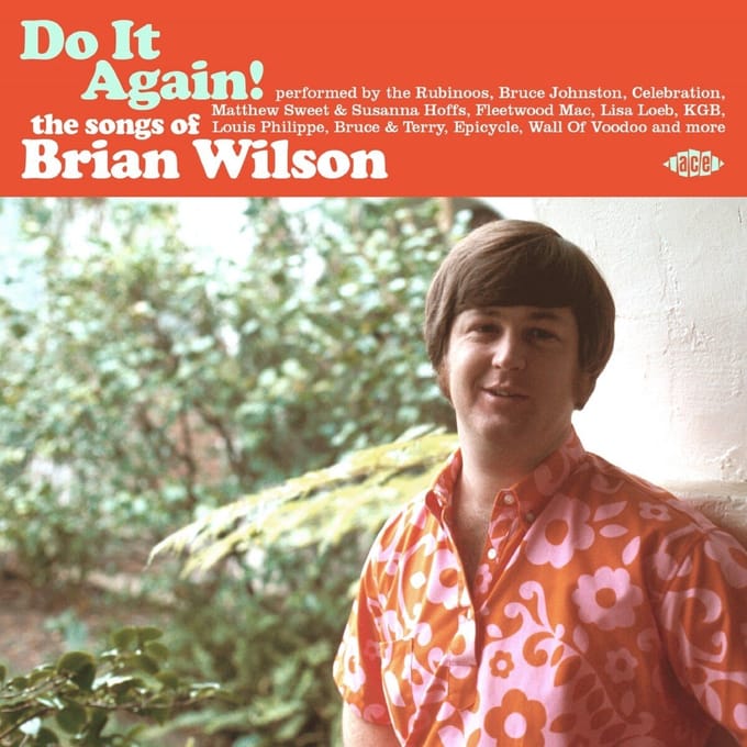 Do It Again! The Songs Of Brian Wilson - V/a (various Artists)