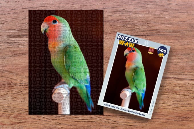 Puzzel Jonge perzik kleurige dwergpapegaai - Legpuzzel - Puzzel 500 stukjes