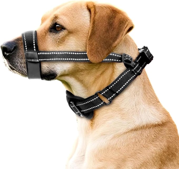 Hondenmuilkorf - Ademende Mands - Gedragscontrole Hond - Verstelbare Pasvorm - Maat Medium - Zwart