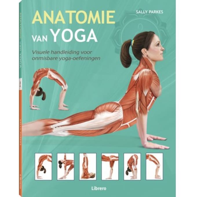 Anatomie van yoga - Sally Parkes