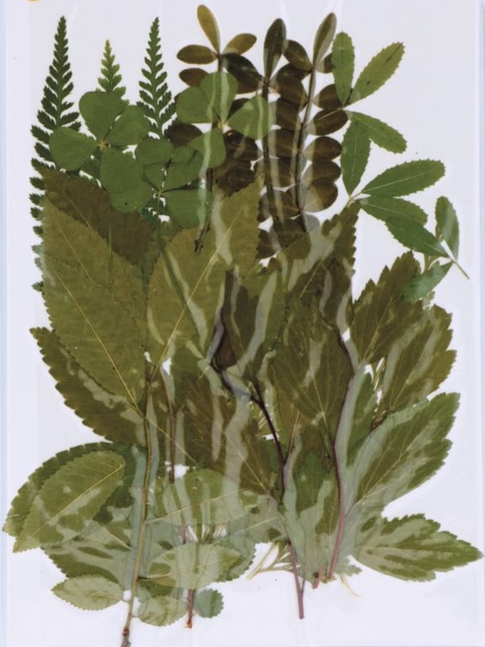 Boeket van perste bloemen Artemio