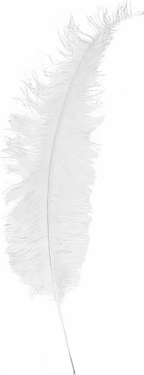 Witbaard Struisveer 50-60 Cm Wit