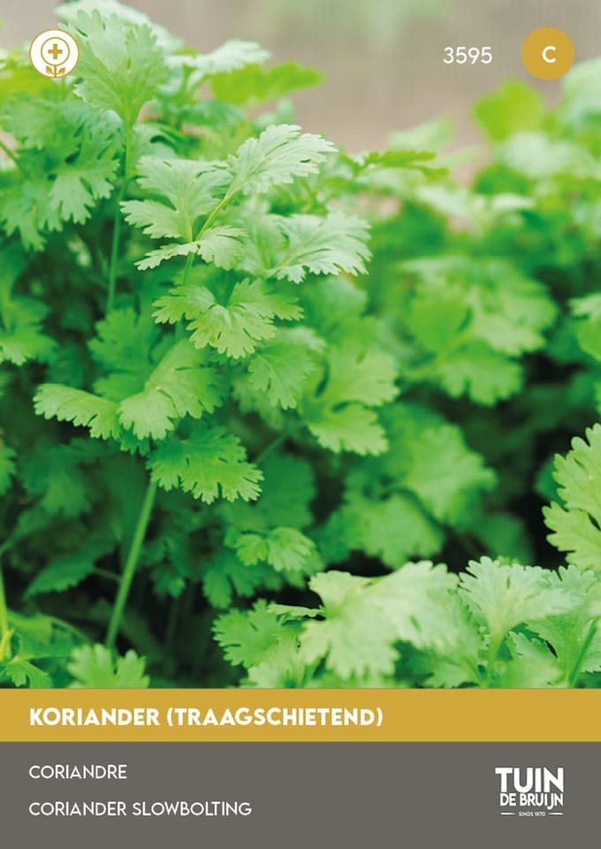 Koriander Zaden – Kruidenzaden – Verse Koriander – Keukenkruid – Moestuin & Keuken | Tuin de Bruijn