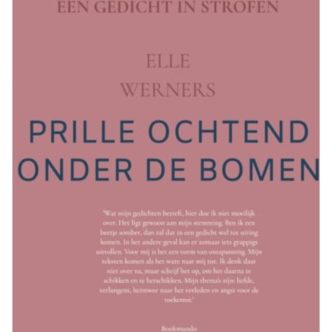 Vensterlicht - ELLE WERNERS