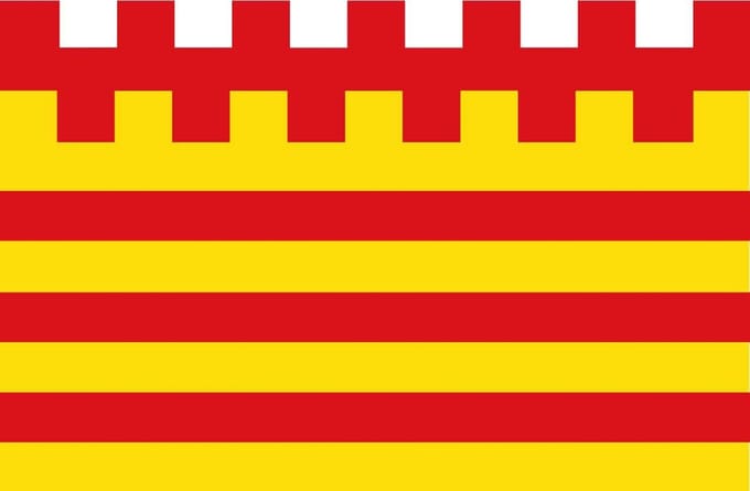 Vlag Pelt 100x150cm